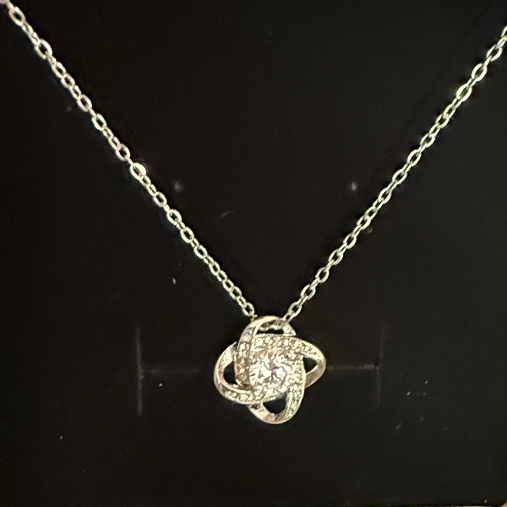 Stainless Steel necklace Women’s special occasions necklace Classic necklace